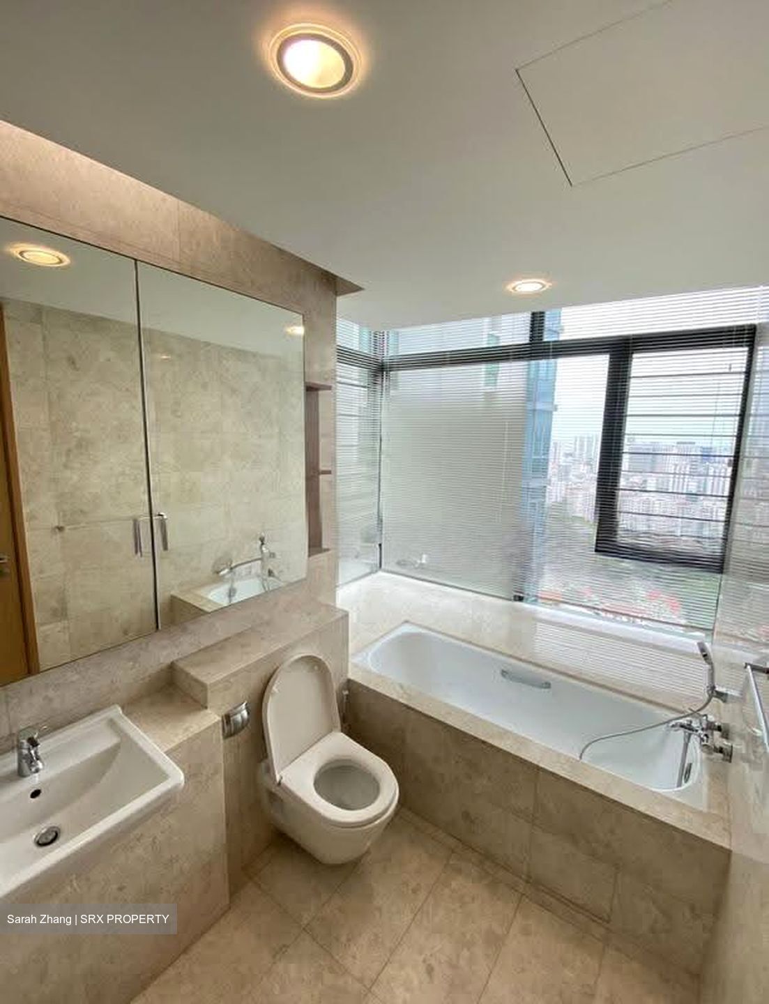 Soleil @ Sinaran (D11), Condominium #624078711